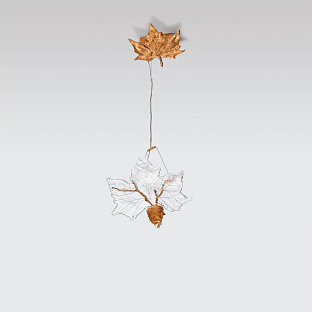 Светильник подвесной Folio Maple Male